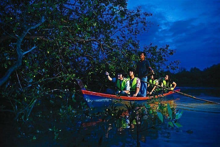 Kuala Selangor Firefly Tour